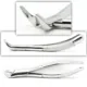 Extracting Forceps — photo