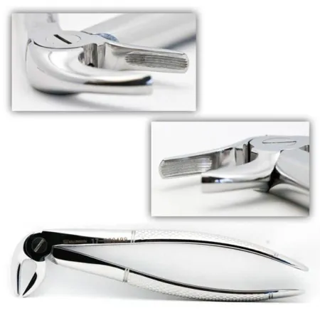 Extracting Forceps