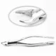 Extracting Forceps — photo