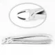 Extracting Forceps — photo