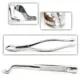 Extracting Forceps — photo