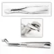 Extracting Forceps — photo