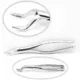 Extracting Forceps — photo