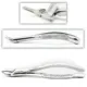Extracting Forceps — photo
