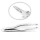 Extracting Forceps — photo