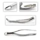 Extracting Forceps — photo