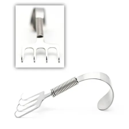 Gorney Rake Retractor with spring