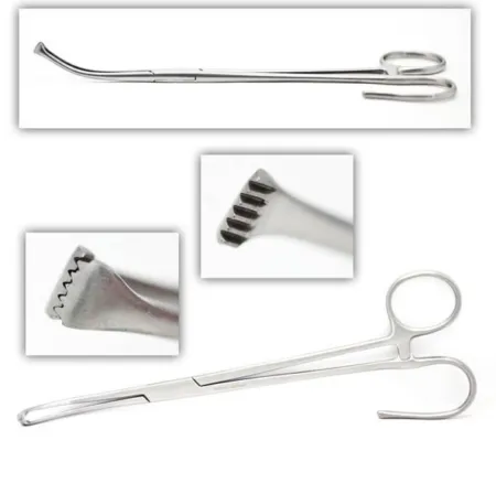 White Tonsil Forceps