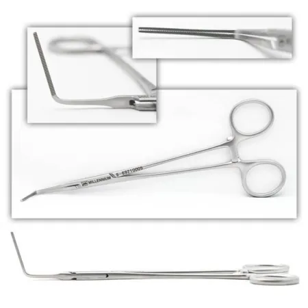 Plaque Remover