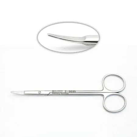 Ragnell Scissor