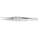 Harms Colibri Forceps — photo