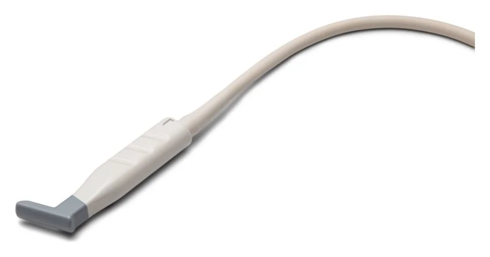 Epicardial Echo Probe