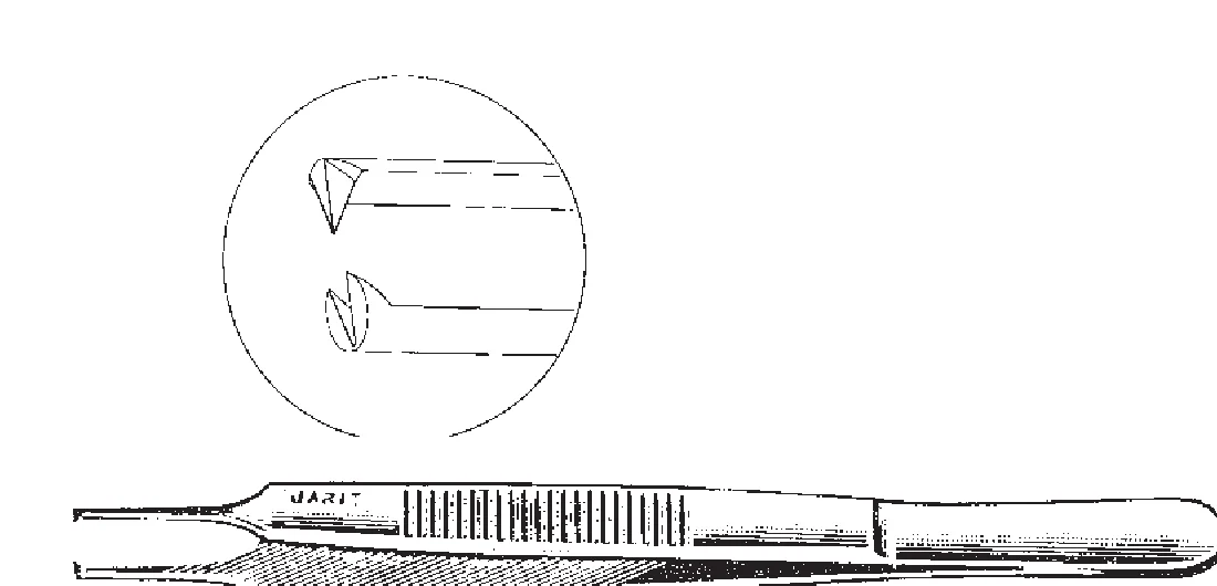 Lester Fixation Forceps