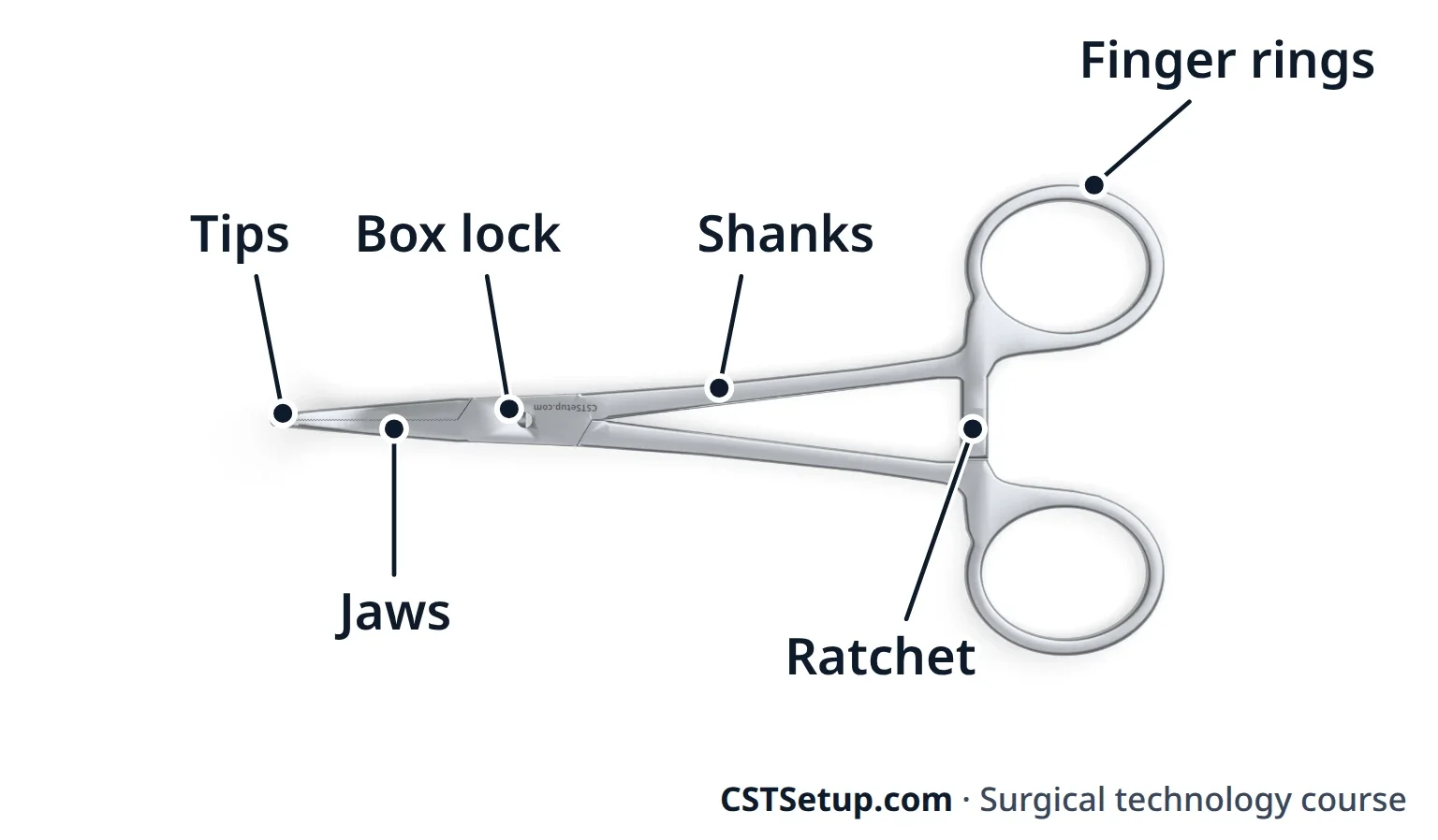 The parts of a ringed instrument, on a curved hemostat.