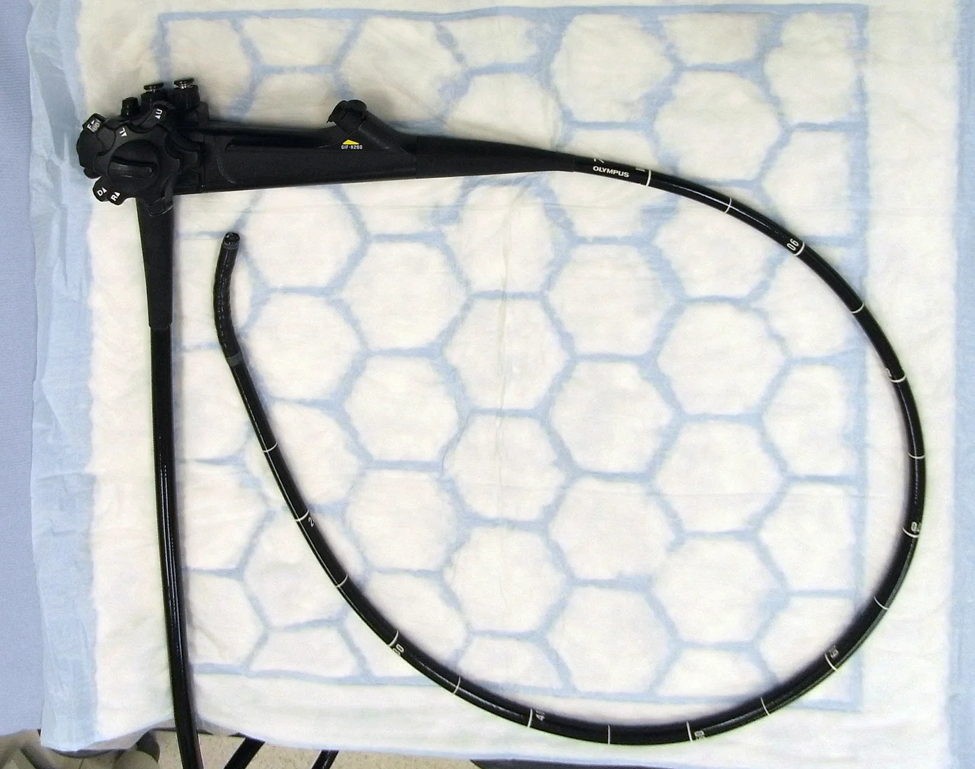 Flexible Gastroscope