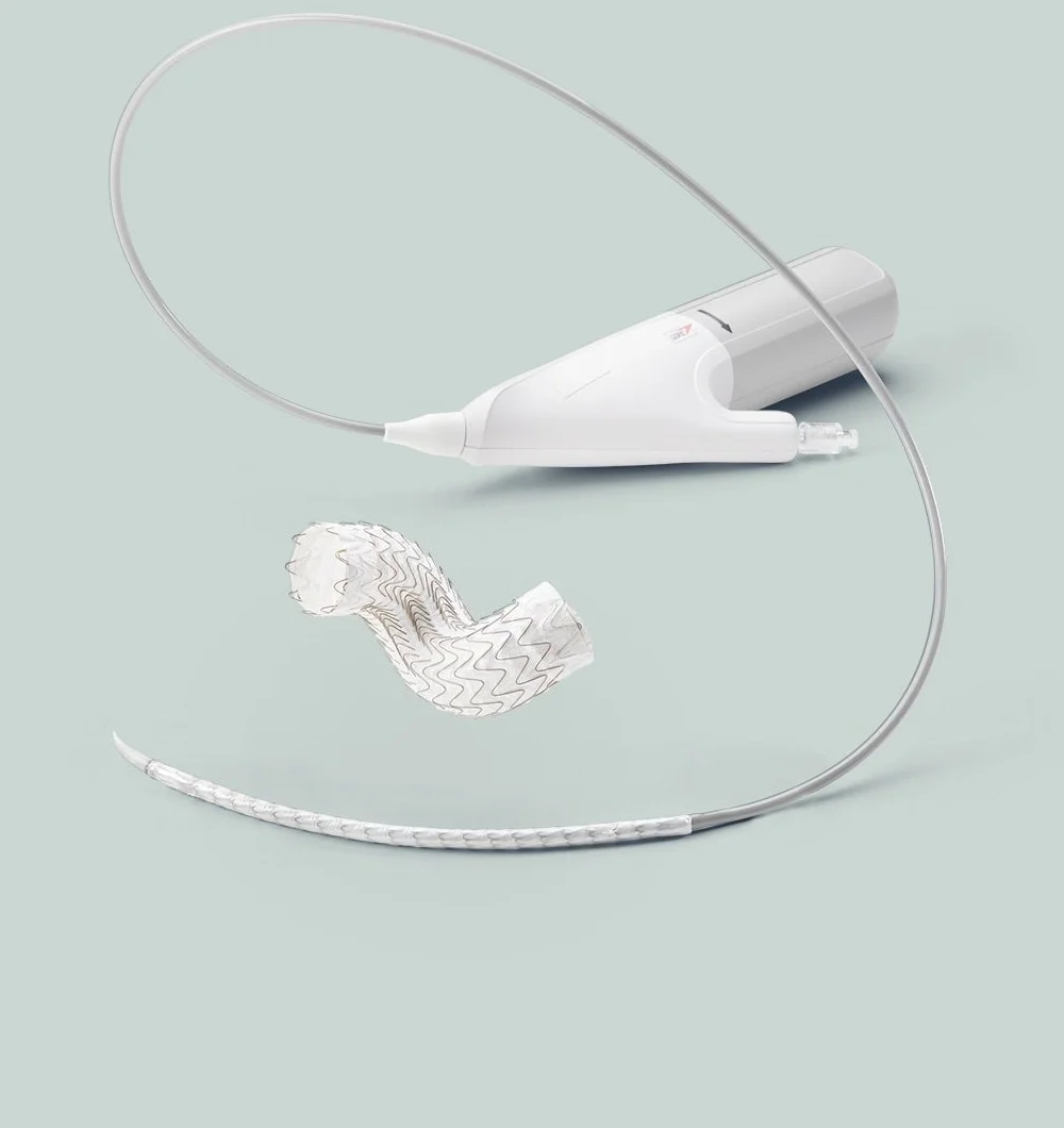 Endovascular Stent Graft