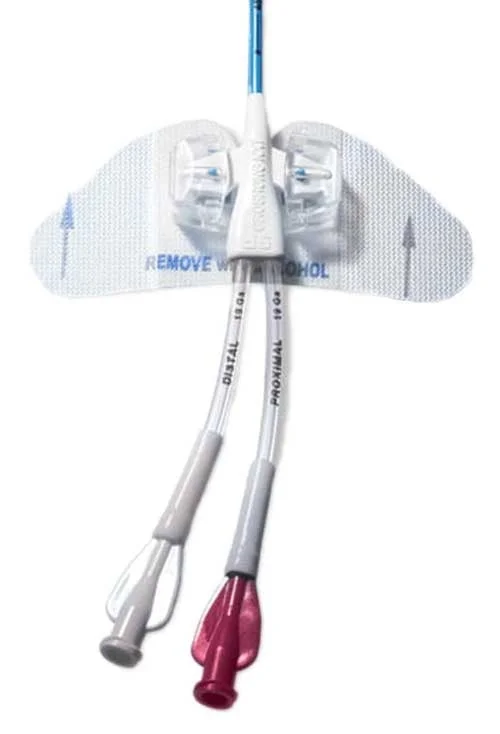 Catheter Stabilization Device